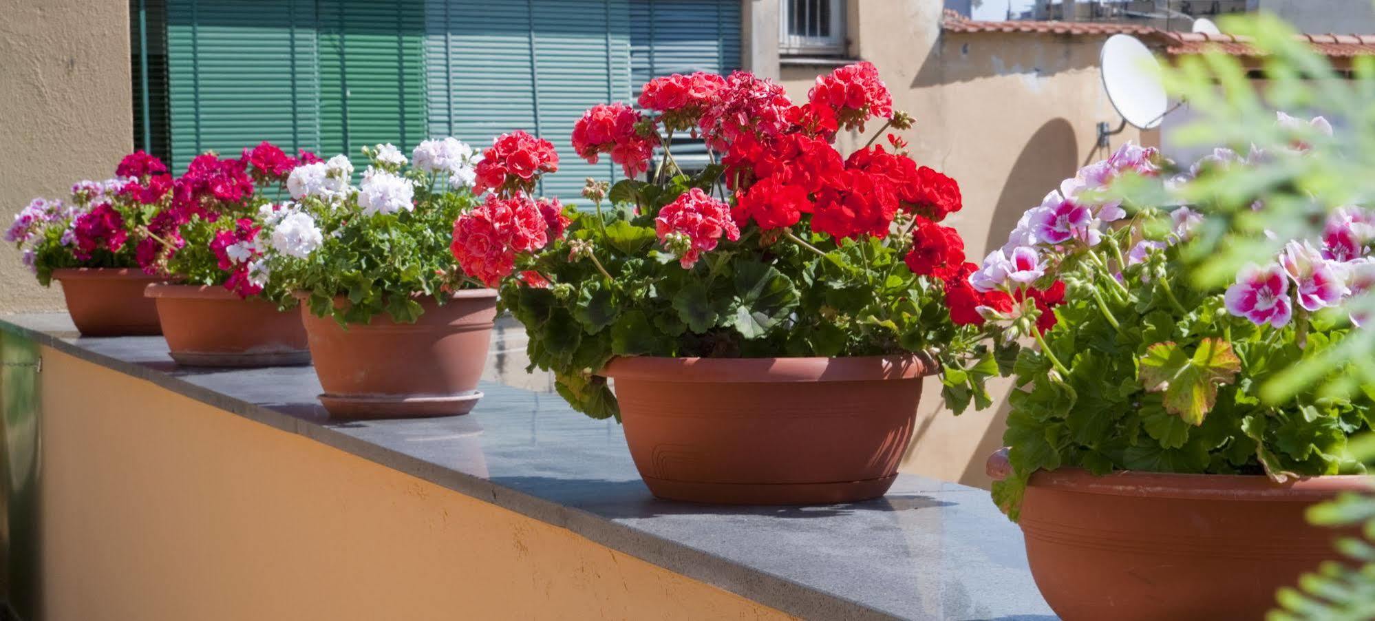Tetto Fiorito Διαμέρισμα Castellammare di Stabia Εξωτερικό φωτογραφία
